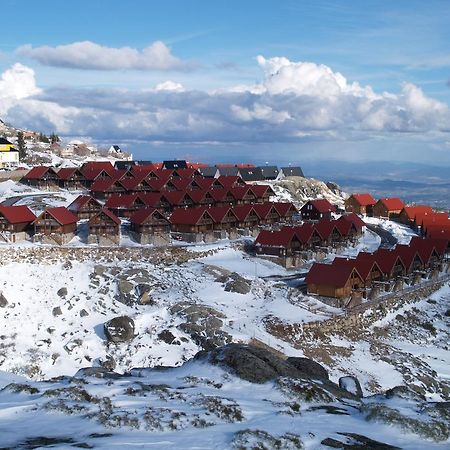 Luna Chalets Da Montanha - Serra Da Estrela Covilhã Buitenkant foto