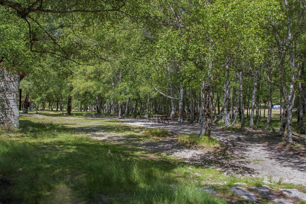 Luna Chalets Da Montanha - Serra Da Estrela Covilhã Buitenkant foto